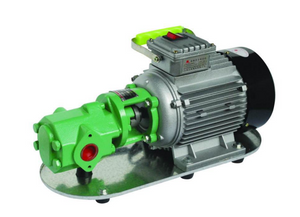 Ecotec Fuel Equipment 220 V przeciwwybuchowa pompa transferowa do stacji benzynowej WCB50