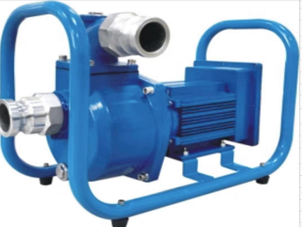 Ecotec 1'' 220 V plahvatuskindel &uuml;lekandepump bensiinijaamale ZL-600
