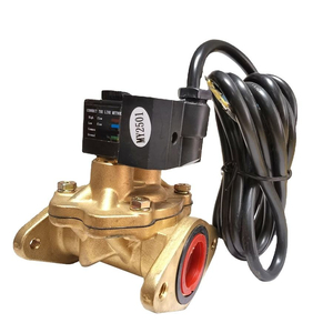 Nagykereskedelmi Legjobb &aacute;ron Lpg m&aacute;gnesszelep elad&oacute;