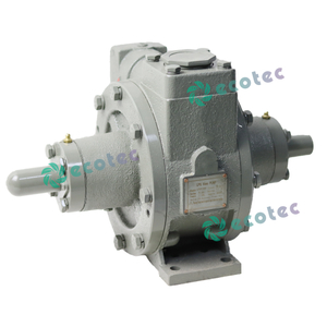 Pam Gas Petroleum Cecair 2 inci LYB-2000 2' Pam LPG 50mm Pam Van Anjakan Positif