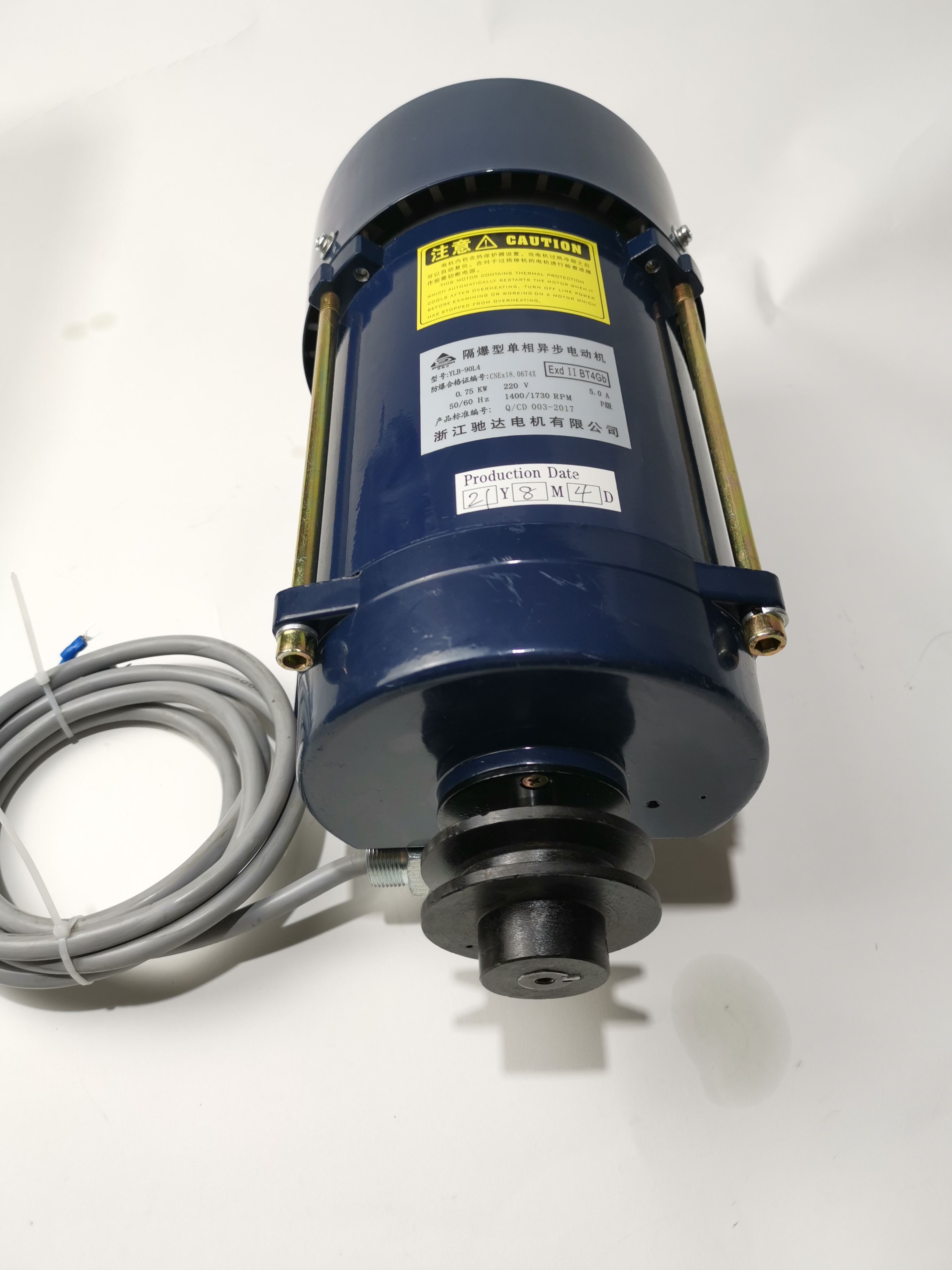 Motor Atex Berkualiti Tinggi Ecotec Motor Fasa Tunggal Untuk Stesen Minyak 
