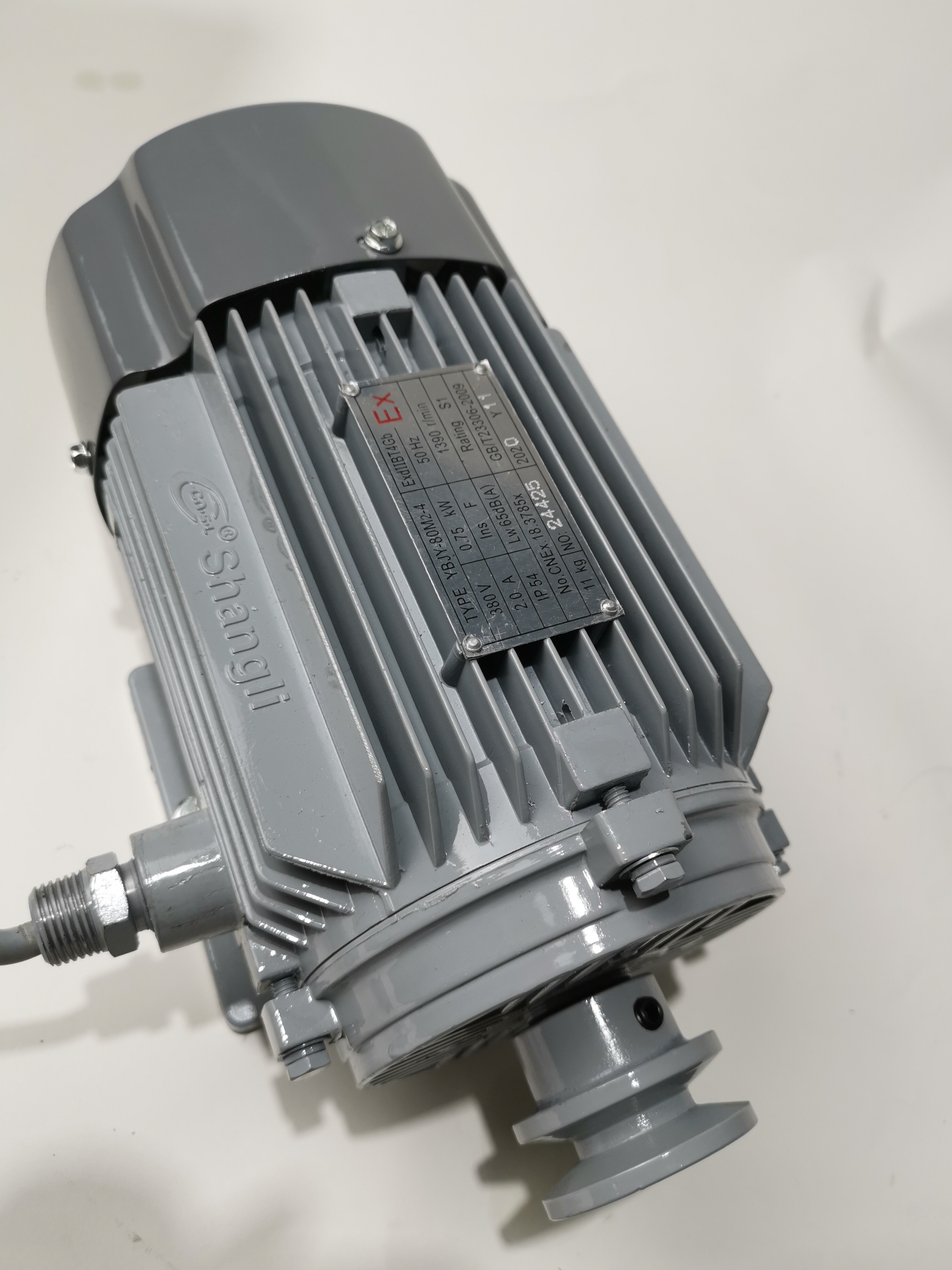 Ecotec 3-Phasen-Motor Atex-Motor G&uuml;nstiger Motor f&uuml;r Tankstelle