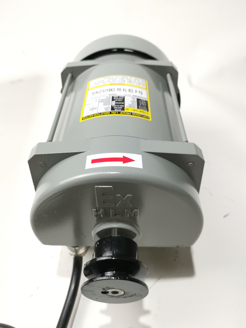 Ecotec Atex motor za točenje goriva Enofazni motor za bencinsko črpalko