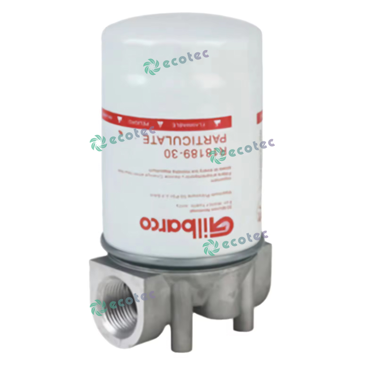 Filtru dozator de combustibil Benzină Diesel Pompă de transfer Combustibil apă Filtru separator
