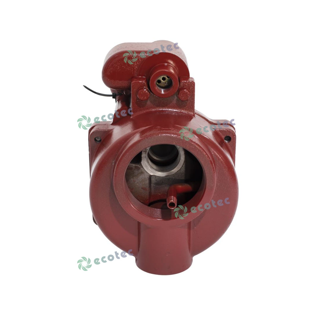 Pompa sommergibile a turbina a bassa pressione 380V 2HP 60Hz Red Jacket per serbatoio di stoccaggio del carburante