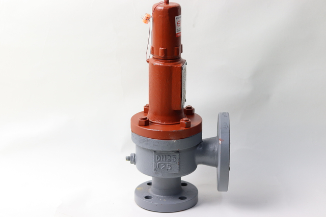Ecotec 3 дюймдік қауіпсіздік клапаны LPG диспенсерінің клапаны DN80 жанармай құю станциясына арналған жоғары қысымды клапан