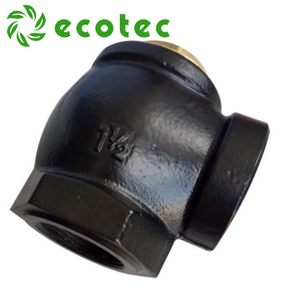 Ecotec 高品質 2 インチチェックバルブガソリンスタンド用燃料ディスペンサーバルブ