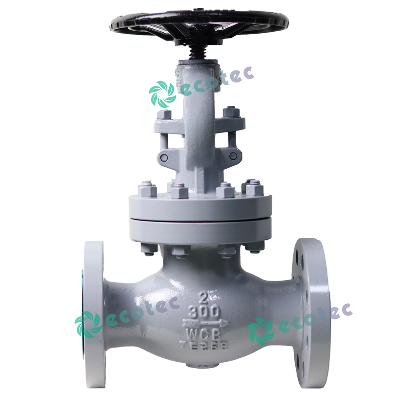 2-tolline LPG maakera klapp, API &auml;&auml;rikuga valatud terasest keraklapp