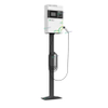 Ecotec 30KW EV լիցքավորիչ DC և AC միաժամանակյա լիցքավորում EV լիցքավորիչ գազալցակայանի համար